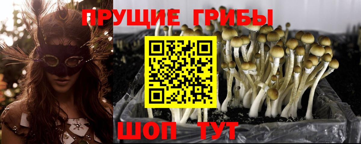 Галлюциногенные грибы мухоморы Таганрог